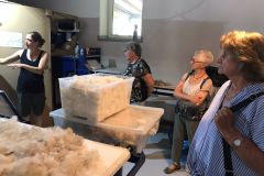 Maschinen zur Herstellung von Wolle