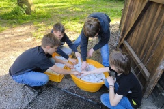 IMG_20240508_191408
