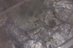 Jaegerrouladen_2025-10