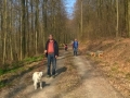 Heimweg