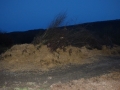 Osterfeuer_2016-03-26_15