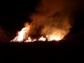 Osterfeuer_2016-03-26_30
