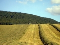 Bessinger Ithwiesen