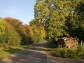 Weg zur Grillhütte