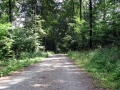 Wege im Ith