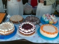 IMG-20150917-WA0002