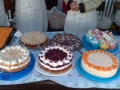 IMG-20150917-WA0004