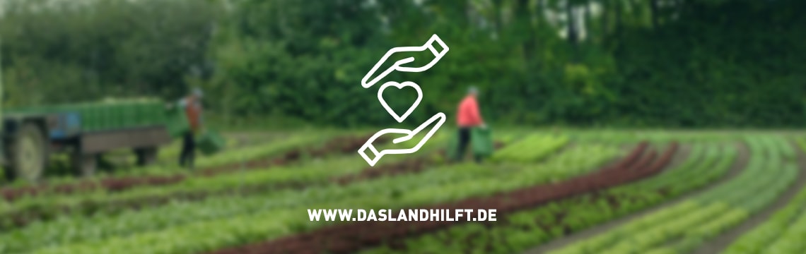 Read more about the article Das Land hilft