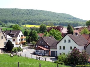 Mehr über den Artikel erfahren Kugelbaum- und Bürgerhausfest in Bessingen